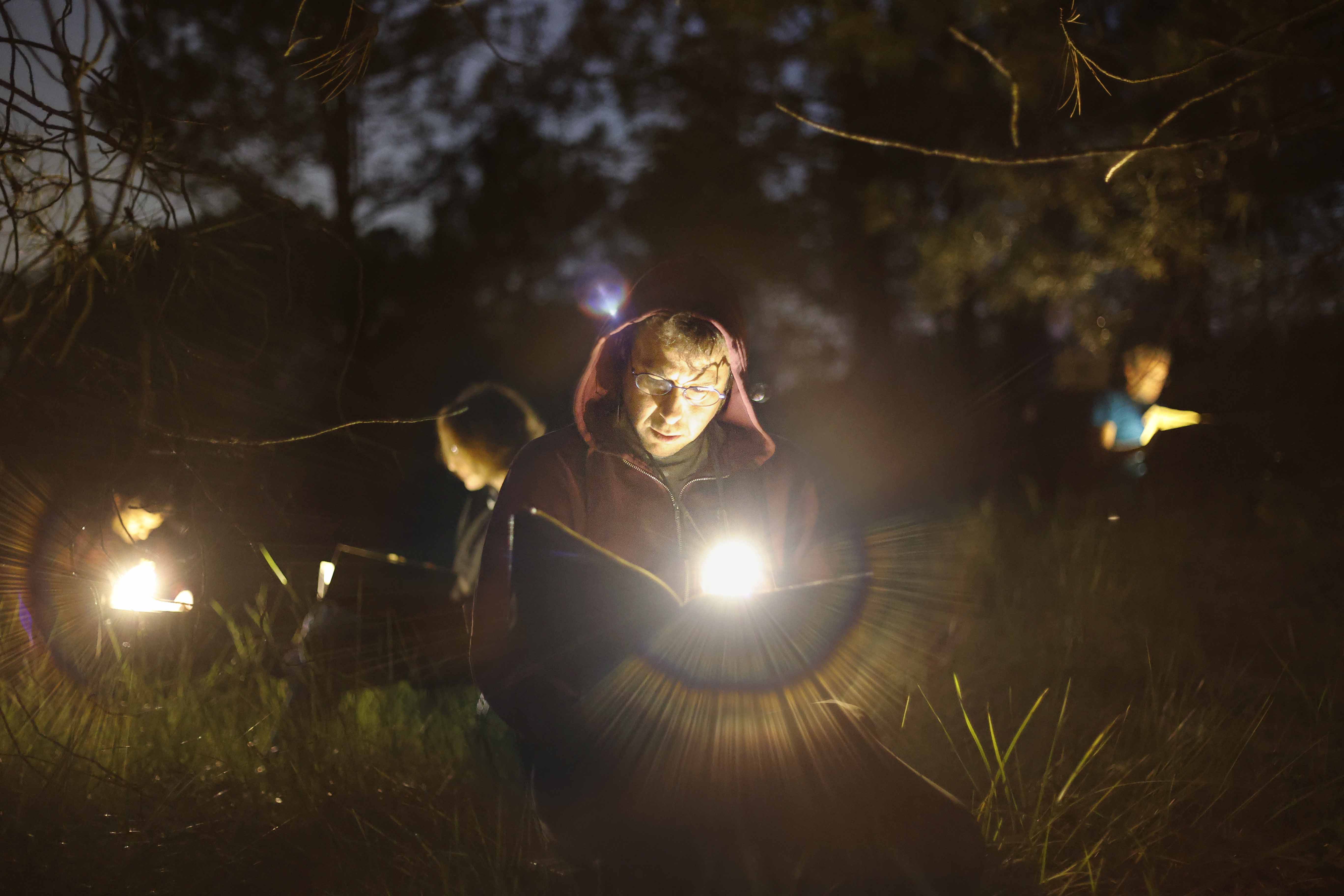 El valor de res, un espectacle embruixador al mig del bosc