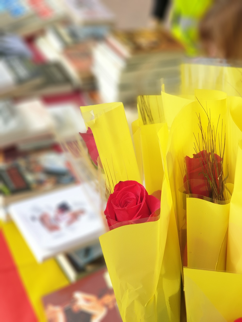 Sant Jordi. Parades de llibres i roses i altres activitats
