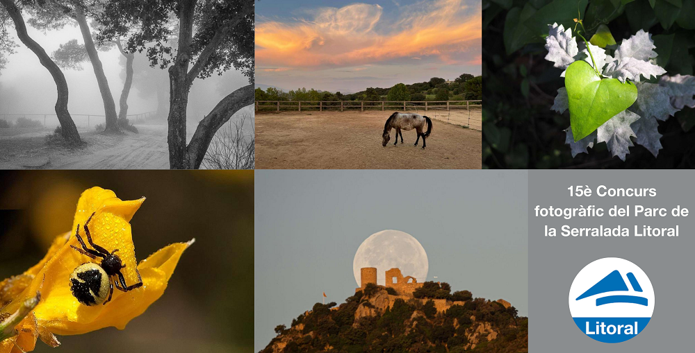 Les millors fotografies de l'any del Parc de la Serralada Litoral