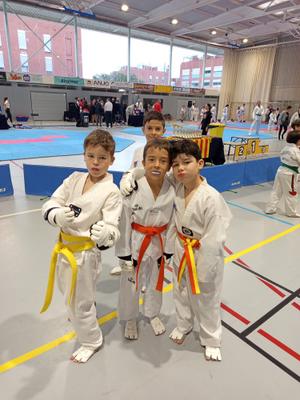 Campionat taekwondo