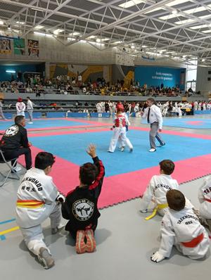 Campionat taekwondo