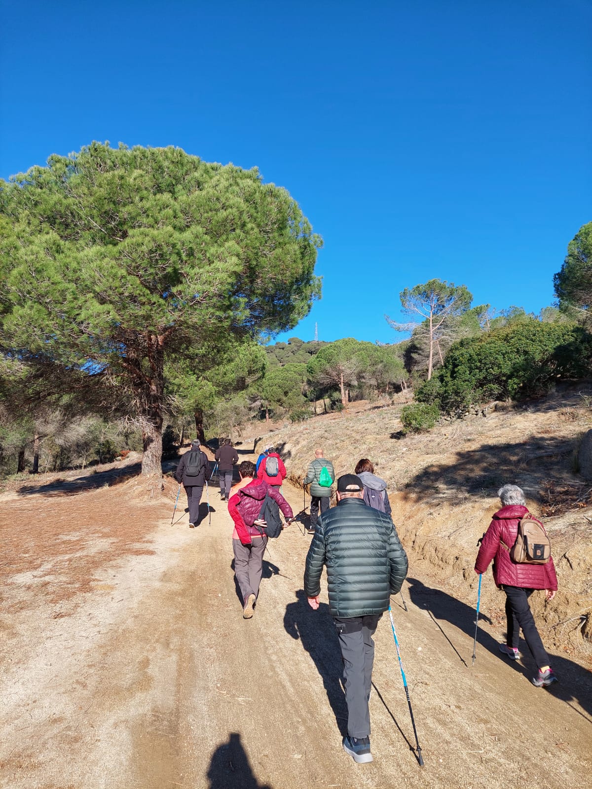 Cicle passejades diputacio