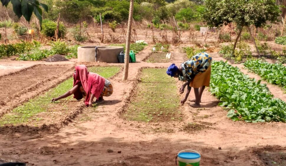 Vuit projectes de cooperació rebran suport alellenc a través el 0,7 % de Cooperació