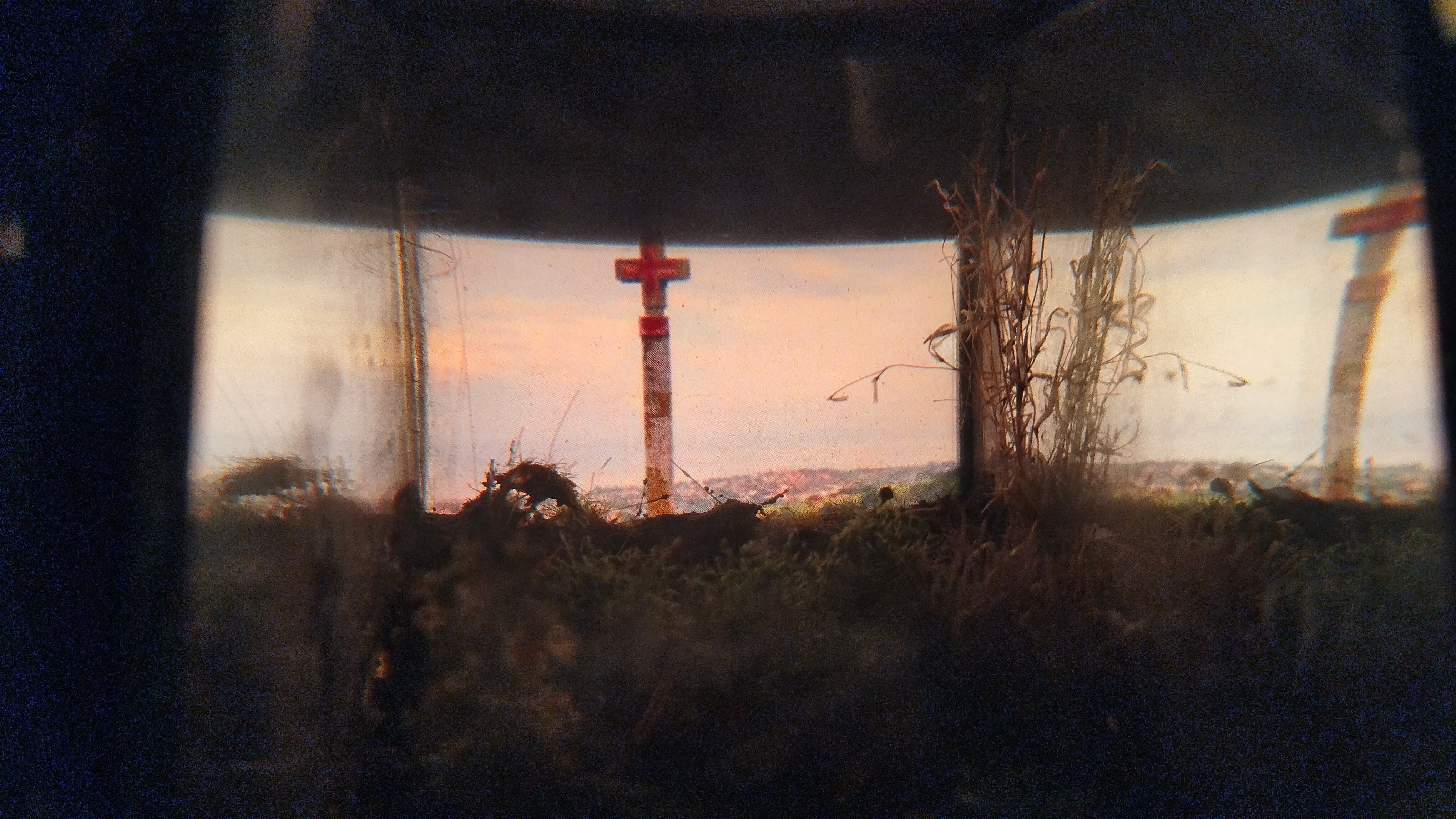 Visita guiada a càrrec de Cristina Calderon