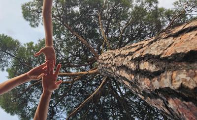 Premi infantil. El parc en companyia. Ona Valls Garcia