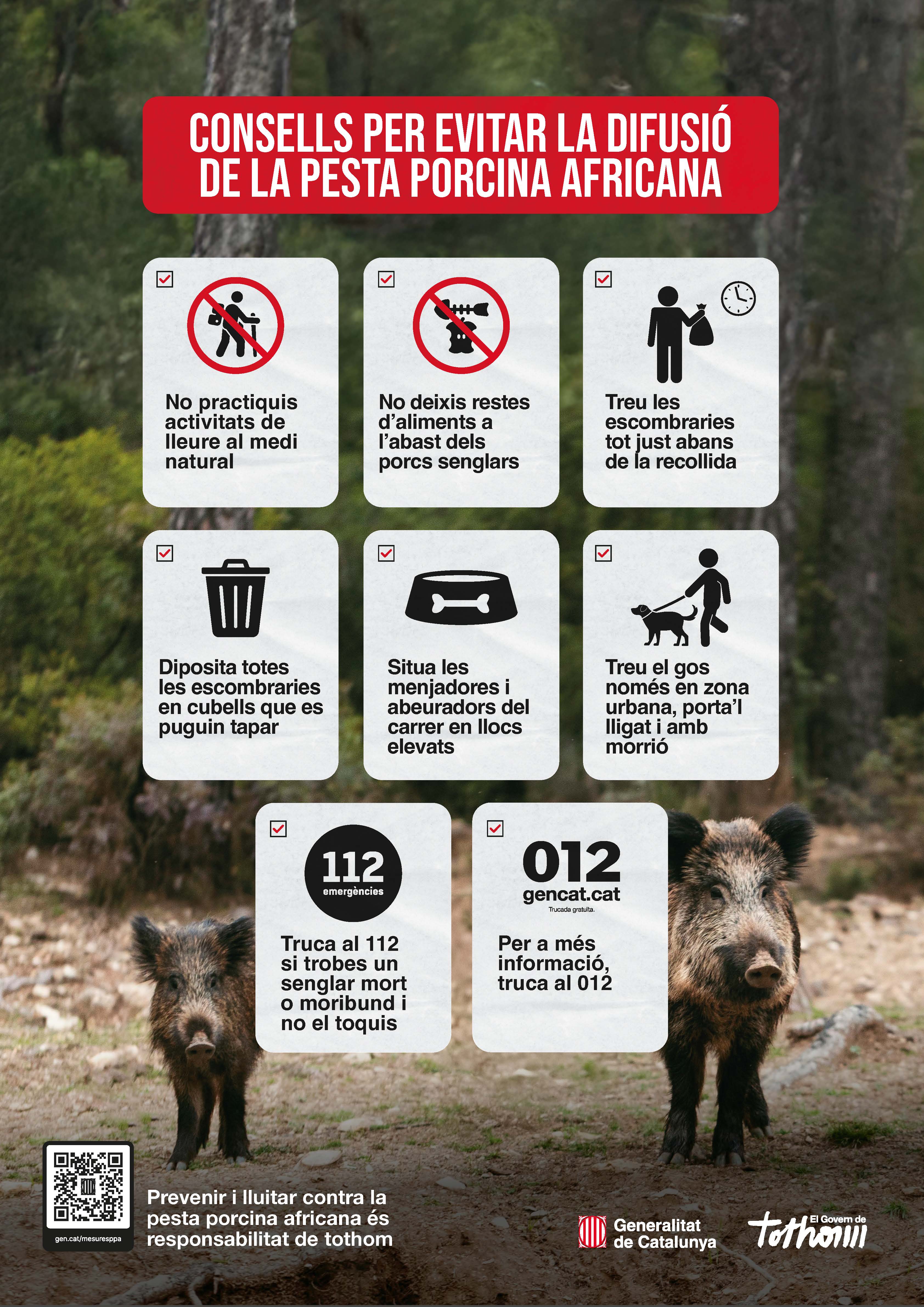 Consell per evitar la proliferació de la pesta porcina Consell per evitar la proliferació de la pesta porcina