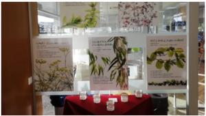 Expo biblio