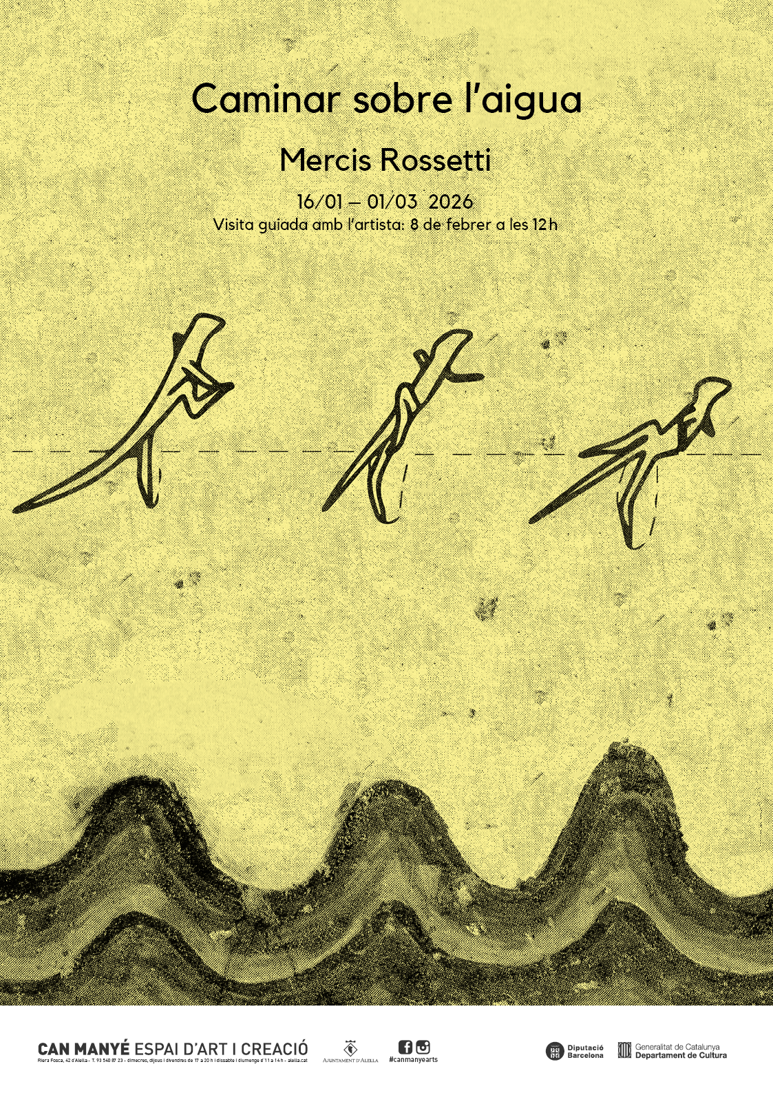 Cartell Caminar sobre l'aigua Cartell Caminar sobre l'aigua