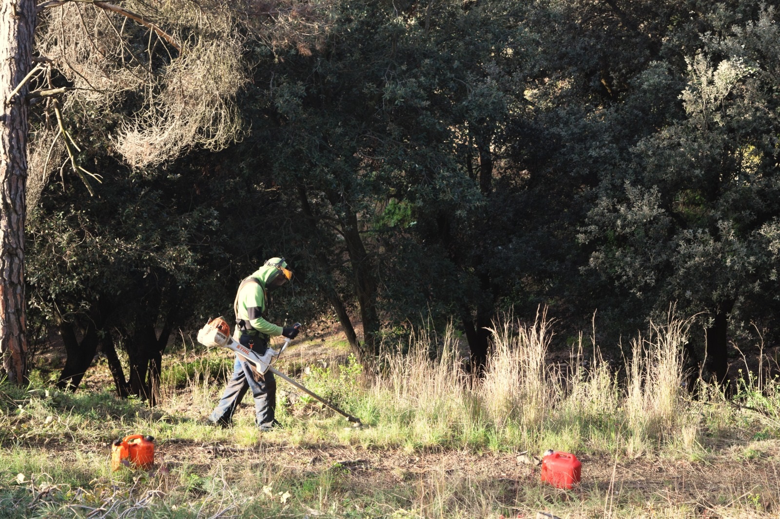 Comencen les feines de prevenció d'incendis amb la reobertura de la franja perimentral a Mas Coll