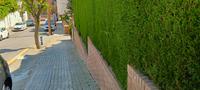Complex normativa