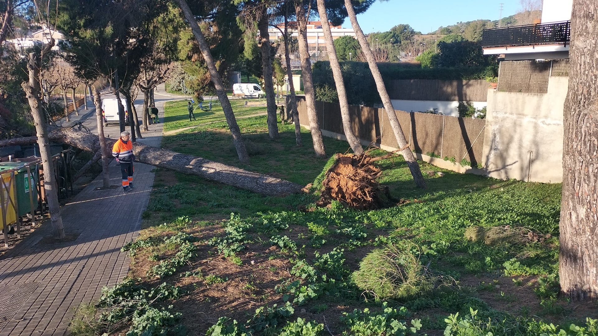 Temporal vent 12 de febrer de 2026