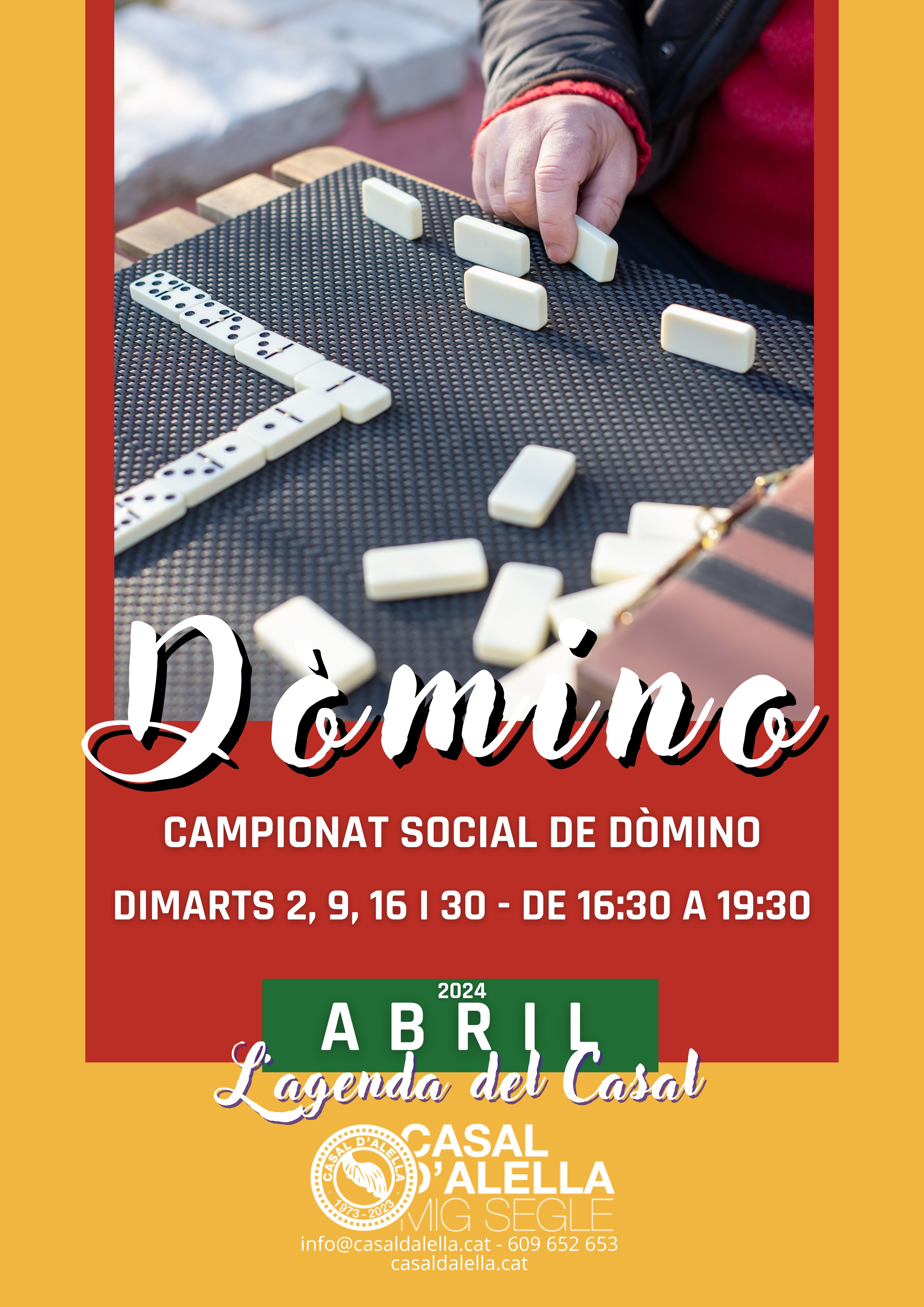 Campionat social de domino