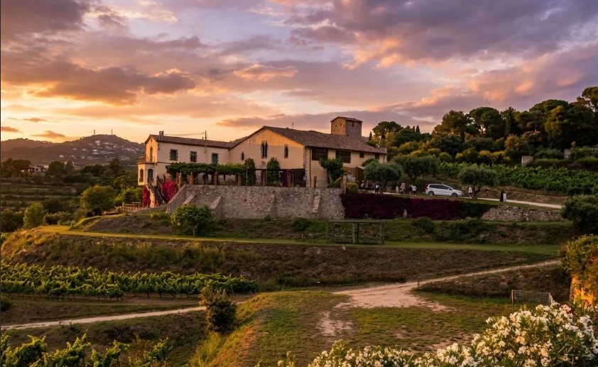 VIBRA